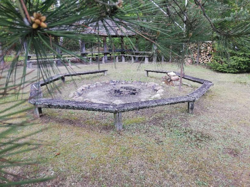 Agroturystyka "Lesne Zacisze Na Podlasiu" Tuczna Exterior foto
