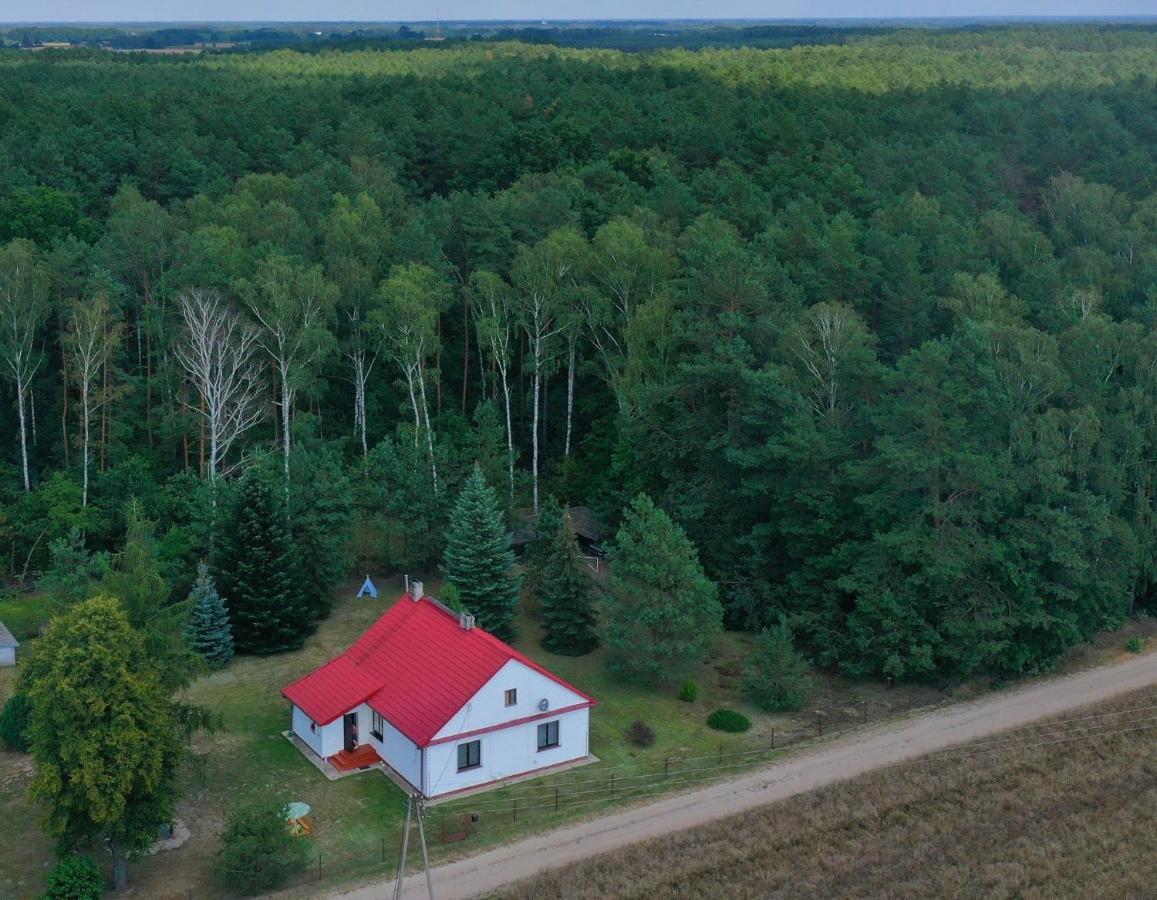 Agroturystyka "Lesne Zacisze Na Podlasiu" Tuczna Exterior foto